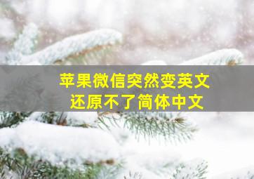 苹果微信突然变英文 还原不了简体中文